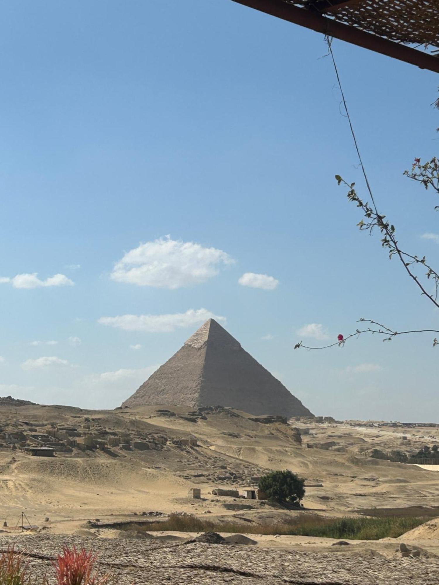 A In A Horse Farm With Pyramid View From Terraces *