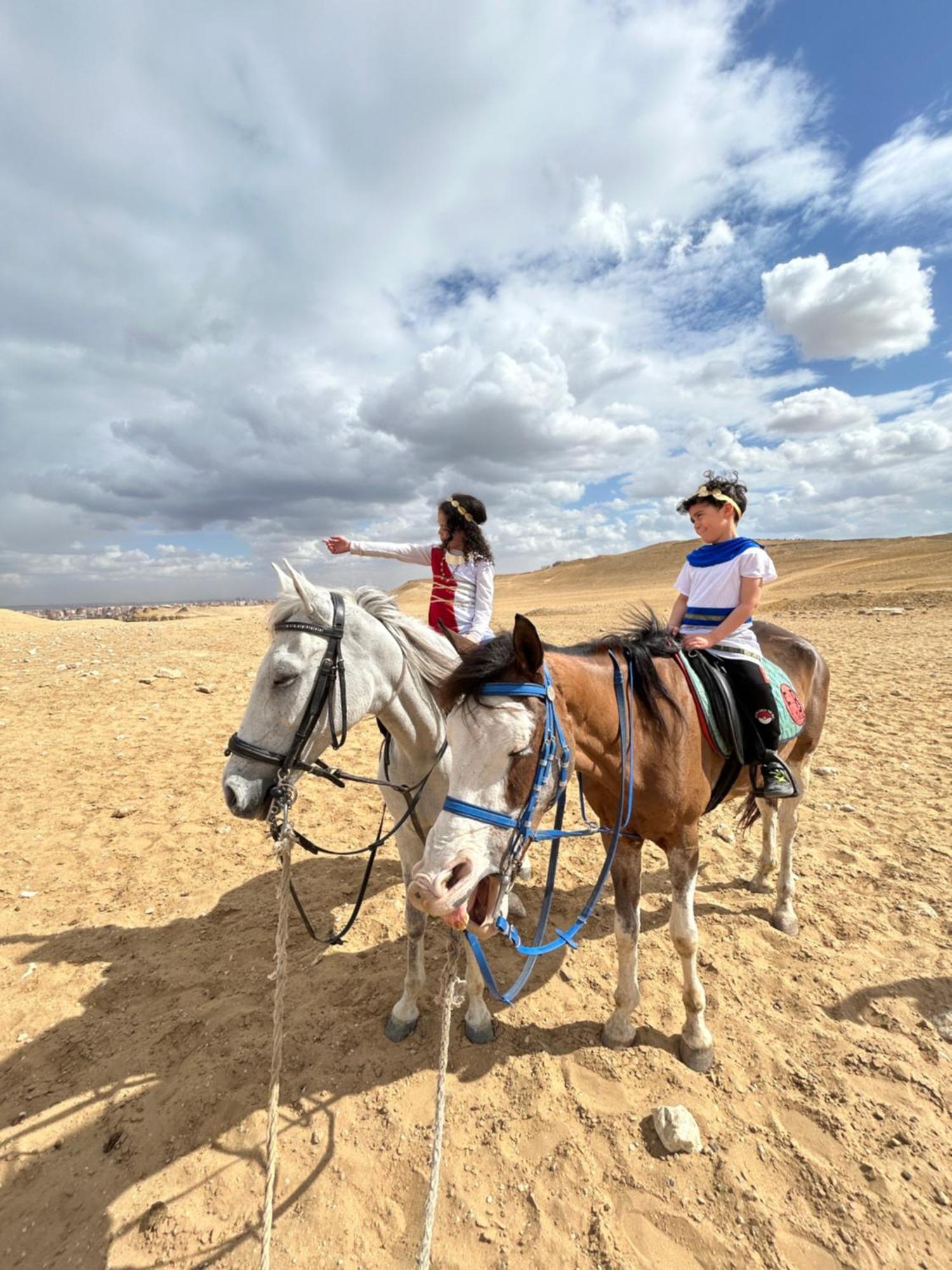 A In A Horse Farm With Pyramid View From Terraces * Cairo